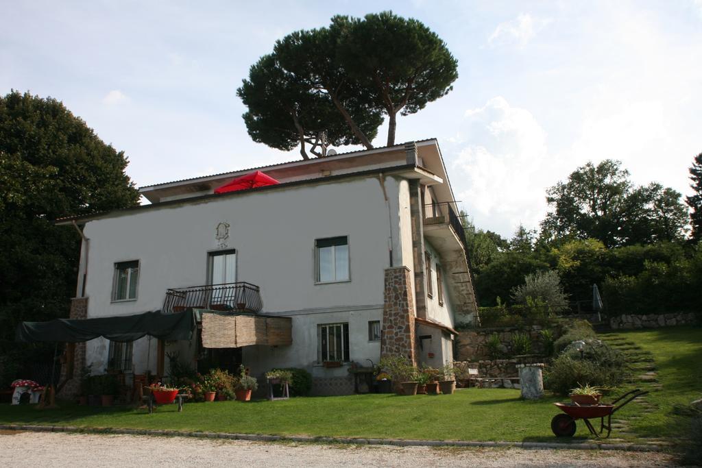 Patrian Bed & Breakfast Grottaferrata Luaran gambar